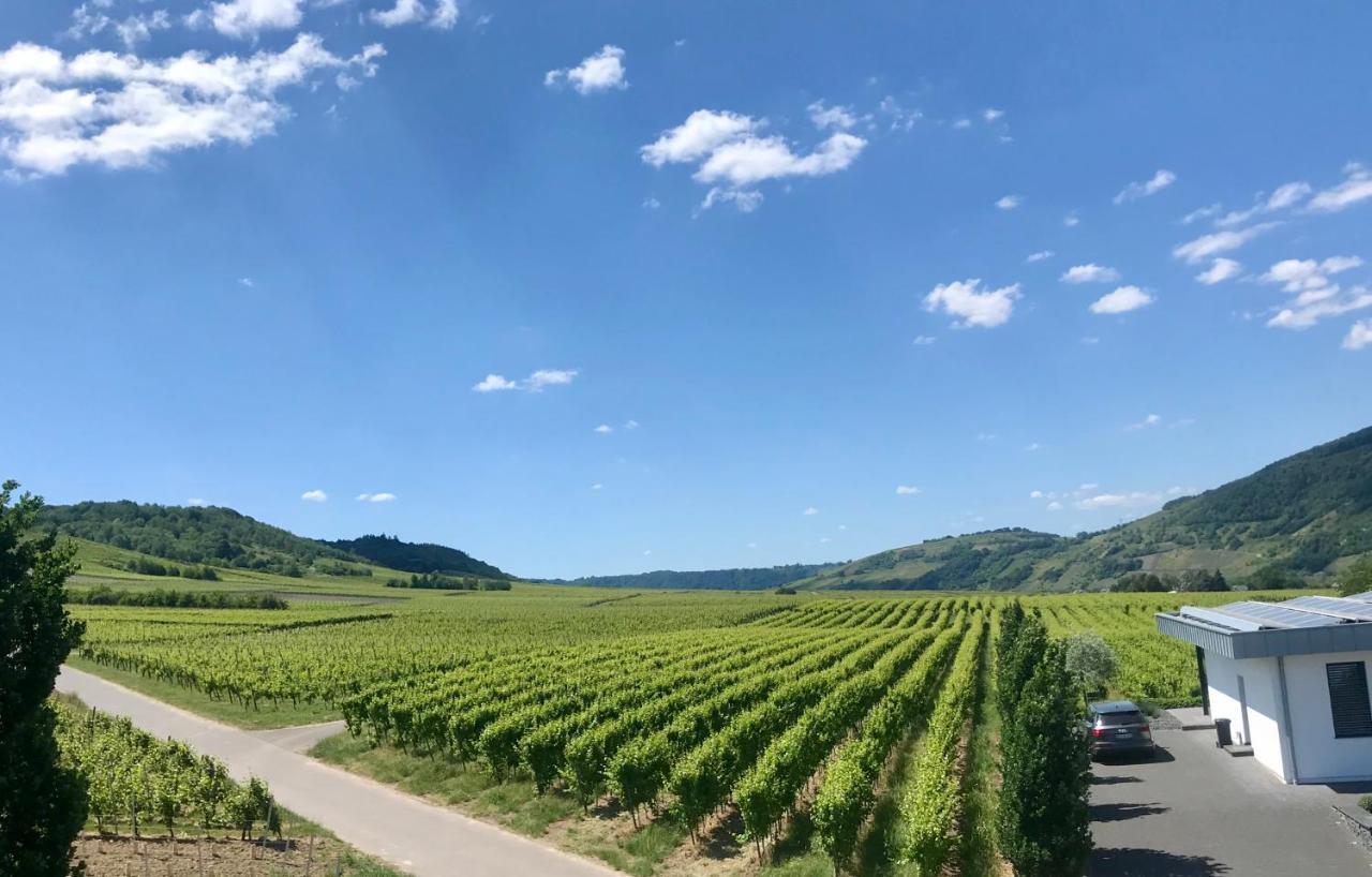 Hotel Weingut Gehlen-Cornelius Brauneberg Zewnętrze zdjęcie