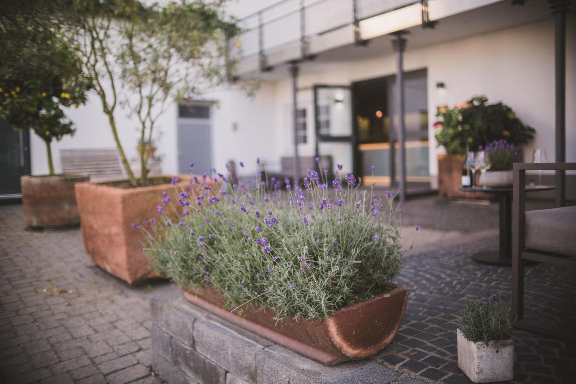 Hotel Weingut Gehlen-Cornelius Brauneberg Zewnętrze zdjęcie